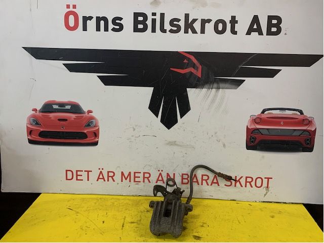 Jarrusatula taka oikea