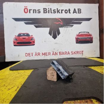 STYRENHET PARKERINGSHJÄLP