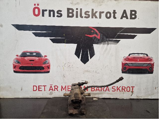 Jarrusatula taka oikea