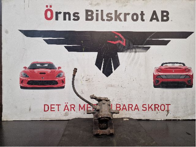 Jarrusatula taka vasen