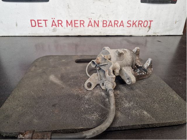 Jarrusatula taka vasen