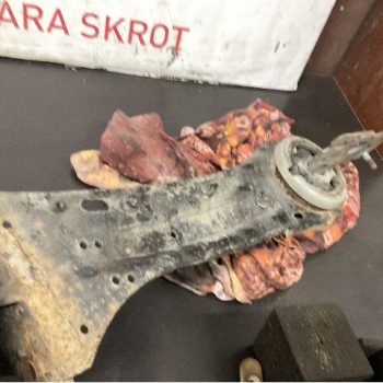 BÄRARM BAK VÄNSTER